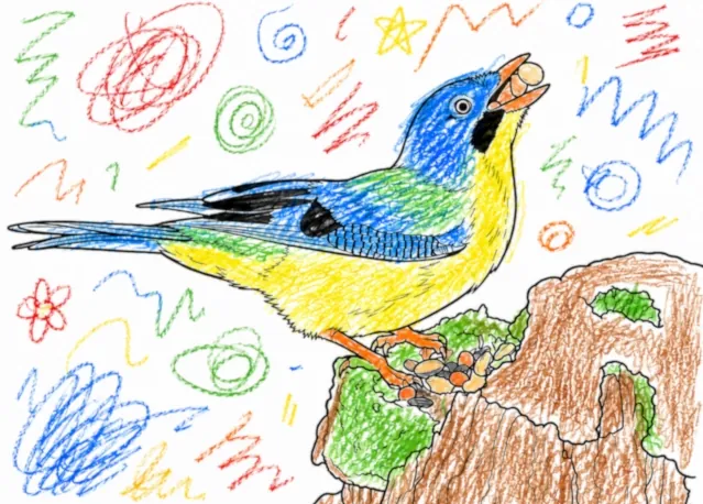 Eurasian Jay